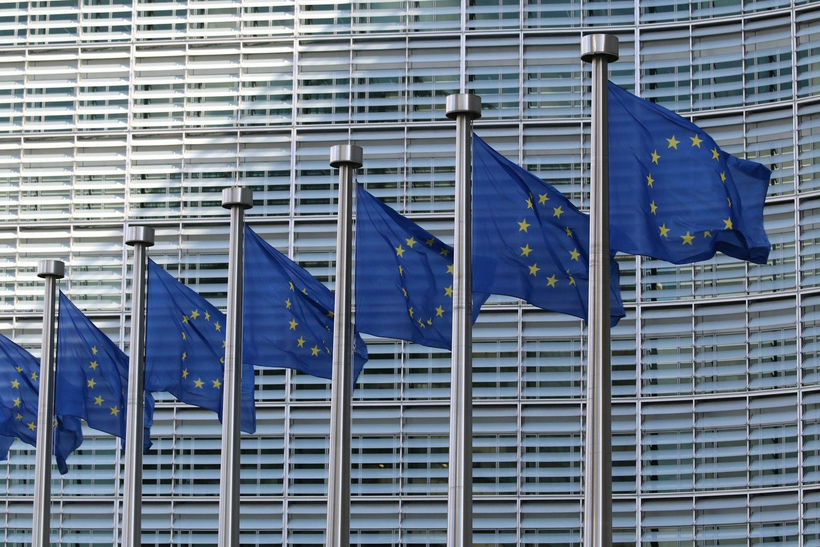 Une rangée de drapeaux européens flottant devant la façade vitrée d'un bâtiment institutionnel